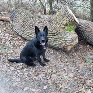 Meet your Posher, Cherisse